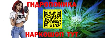 PSILOCYBIN Новокубанск