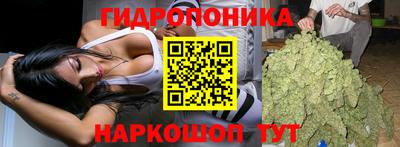PSILOCYBIN Новокубанск