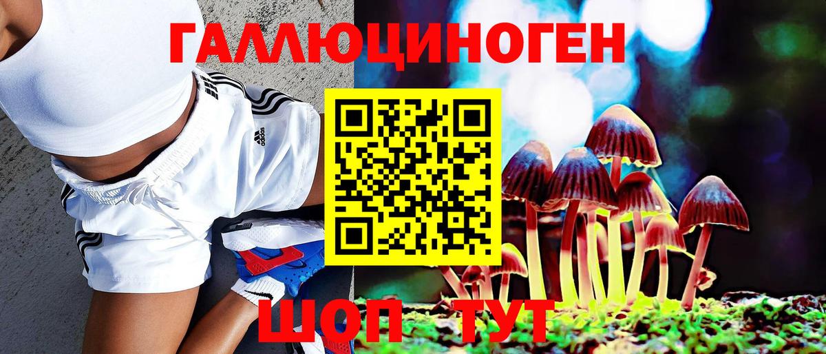 Галлюциногенные грибы Psilocybe  Вход с VPN  Саров  хочу наркоту  Псилоцибиновые грибы ЛСД 
