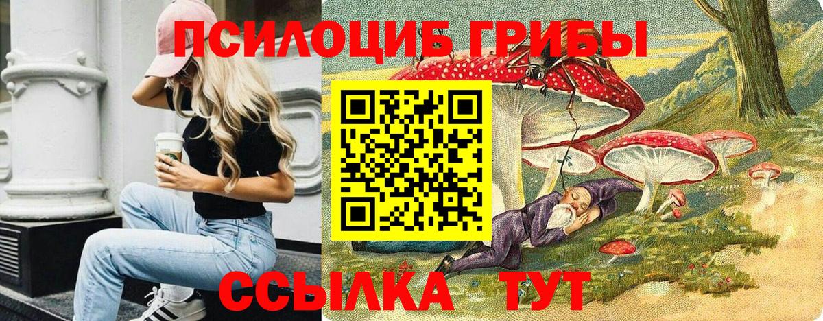 Псилоцибиновые грибы MAGIC MUSHROOMS Саров